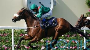 Tahiyra takes Coronation triumph for Weld
