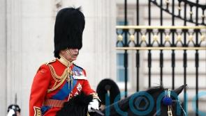 King pays tribute to troops to mark Armed Forces Day