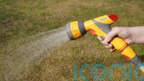 Water company blames people working from home for hosepipe ban