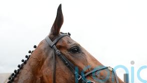 Hogan to appeal against three-month suspension