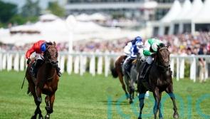 Khaadem produces 80-1 shock in big Royal Ascot sprint