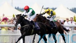 Pyledriver returns in brilliant style to land Hardwicke success