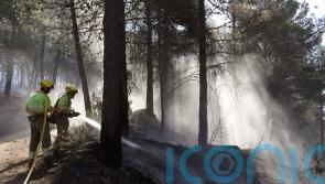 Spain braces for massive wildfires in bone-dry forests starved of rain