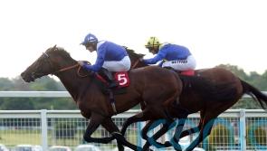 King George in Hukum’s sights after bypassing Royal meeting