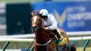 Baker plotting Ebor route for Cemhaan