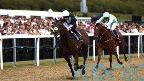 Palmer planning dual assault on Northumberland Plate