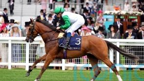 Promising juvenile Asadna makes Alice Haynes switch