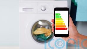 7 ways to make your laundry less harmful to the environment