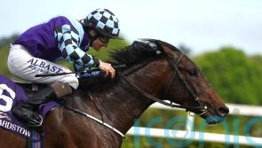 Harrington hopeful, but realistic as Sprewell prepares to take Auguste Rodin on again