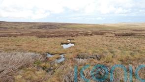 MEPs ‘have to make up mind quickly’ on key EU environmental law, says Ryan