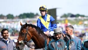 ‘All good’ with Desert Crown, as Derby winner resumes cantering duties