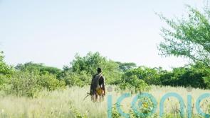 Women ‘actively hunt in 70% of hunter-gatherer societies still in existence’