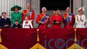 How much does the royal family cost? A breakdown of the key figures