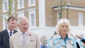Heating turned down at Buckingham Palace to cut emissions, royal accounts show