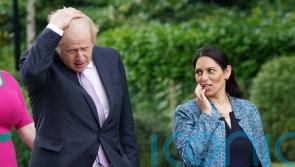 Johnson allies could face punishment for campaign against partygate committee