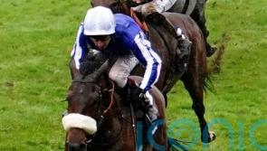 Hi Royal ready to renew Paddington rivalry
