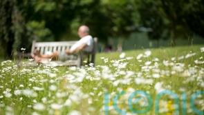 Being lonely ‘may increase risk of heart disease in diabetes patients’