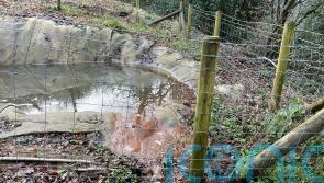 South Wales council allowed contaminated liquid to spill on public road