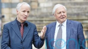 Attenborough unveils quote inspired by Cop24 speech at Natural History Museum