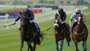 Matrika makes light work of quick turnaround