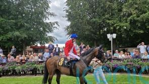 Audience proves captive viewing for Gosden at Newmarket