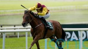 Mashhoor floors returning Al Riffa in International Stakes