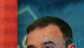 Labour led by right-wing, illiberal group engaged in witch-hunt, says MP