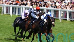 Deer eyeing Abbaye hat-trick with Saint Lawrence