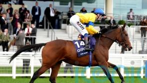Stay Alert connections lodge Pretty Polly appeal