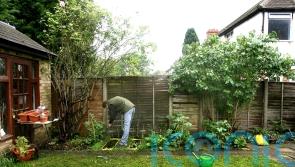 Adults ‘spending less time gardening and reading’ than at start of pandemic