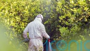 Greenhouse gas emissions of pesticides overlooked, say campaigners
