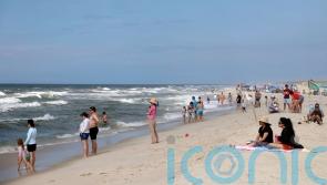 Possible shark attacks prompt heightened patrols at New York’s Long Island