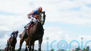 York could feature on Auguste Rodin agenda after Ascot