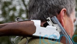 Government taking action necessary on firearms licensing, minister tells MPs
