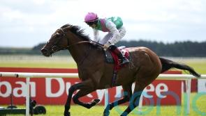 Westover to have a pacemaker in bid for Saint-Cloud gold