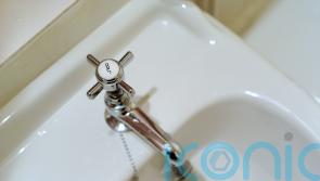 Homes stuck with tadpoles in their ‘Dickensian’ water supply, Government told