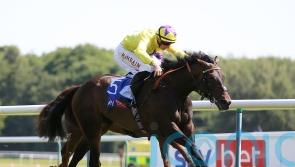 Haggas has Sea Silk Road treading familiar path in Lancashire Oaks