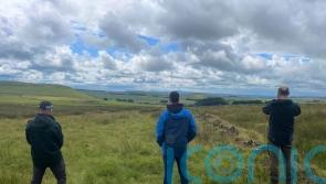 &pound;5,000 reward offered after poisoning of two white-tailed eagles