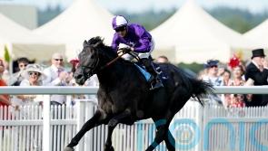 Final call still to be made on King Of Steel’s next outing