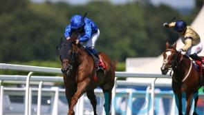 Yibir makes light work of Marathon task at Sandown