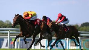Savvy Victory is a sweet one for Sean Woods