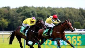 Poptronic digs deep to take Lancashire Oaks crown