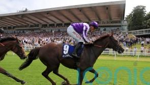 Perotto prevails to seal Marquand double at Sandown