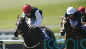 Curragh plan for Just Beautiful, with Group One triumph an ultimate aim