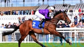Big targets ahead for classy Bucanero Fuerte