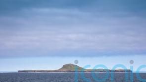 National Trust for Scotland takes ownership of Treshnish Isles