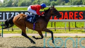 Prix Maurice de Gheest on Sacred’s radar