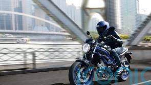 First Ride: The Suzuki SV650 is a motorcycle that gets the job done
