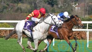 White Birch has earned rest after taking in Epsom and Curragh Classics