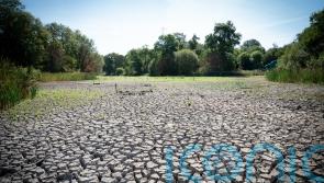 Hottest week on record ‘worrying news for planet’, say scientists